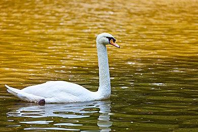 视觉效果升级 玩家自制《生化危机5》高清MOD